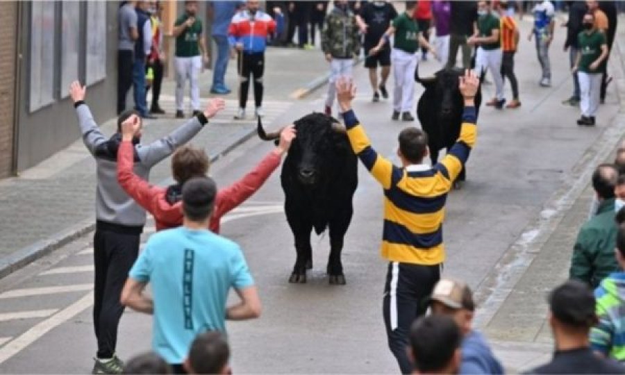 Nis me viktima rihapja e festivalit të demave në Spanjë
