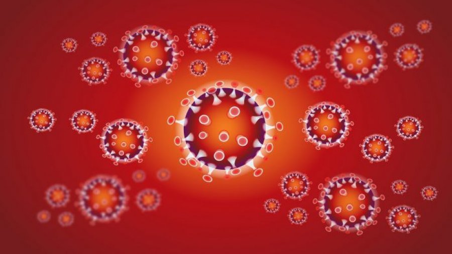 Infektimi me koronavirus – Brenda tre ditëve, vdesin nëna dhe vajza e saj 15 vjeçare