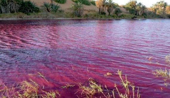 Ekspertët mbeten pa fjalë, uji bëhet i kuq në të njëjtin vend që përmendet në Bibël