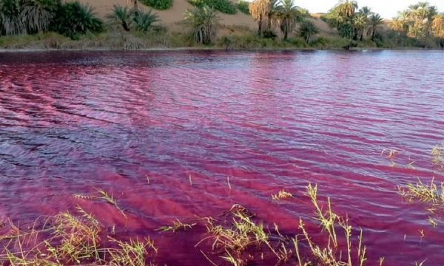 Ekspertët mbeten pa fjalë, uji bëhet i kuq në të njëjtin vend që përmendet në Bibël