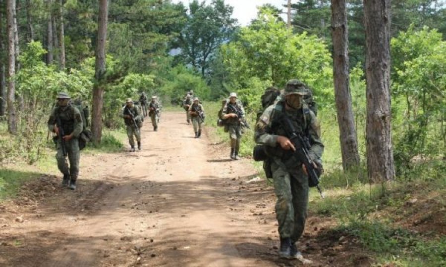 FSK në Mbretërinë e Bashkuar për garën e njohur “Cambrian Patrol”