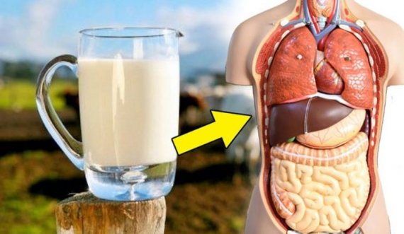 Kur duhet pirë qumështi, në mëngjes apo në mbrëmje?