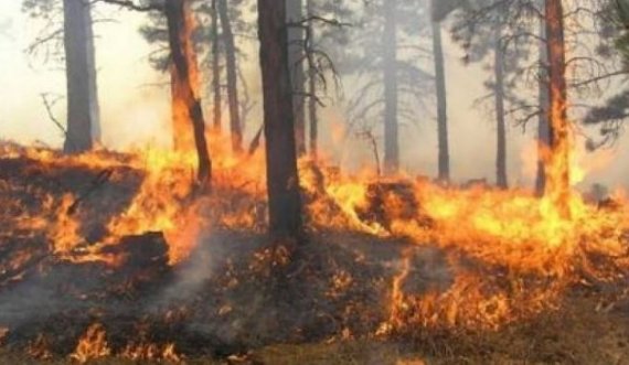 Digjen rreth 10 hektarë mal në Podujevë, dyshohet se zjarri ka ardhur nga prona e një bashkëfshatari