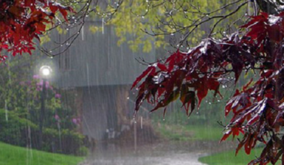  Moti për sot dhe nesër, kështu do të jenë temperaturat 