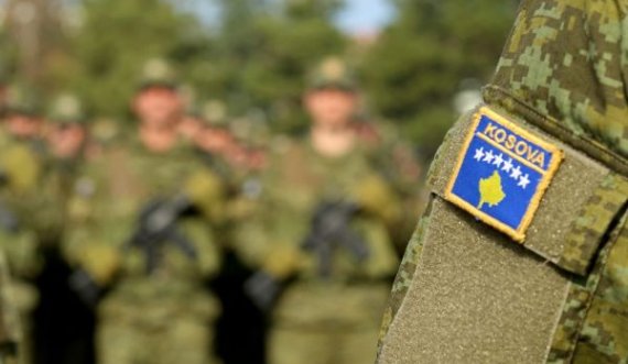 Mehaj i bindur: Ushtria jonë drejt NATO-s