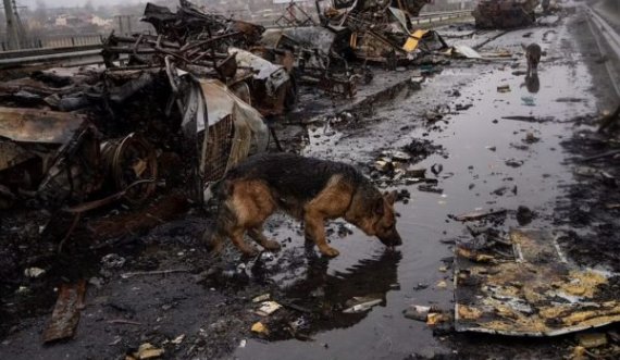 Në mbrojtje të qytetit, gjendet e masakruar kryebashkiakja ukrainase