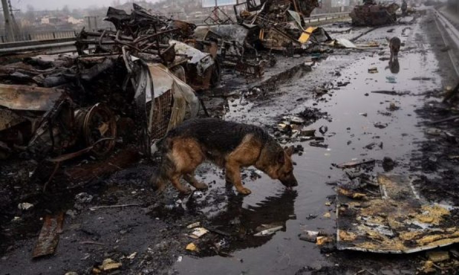 Në mbrojtje të qytetit, gjendet e masakruar kryebashkiakja ukrainase