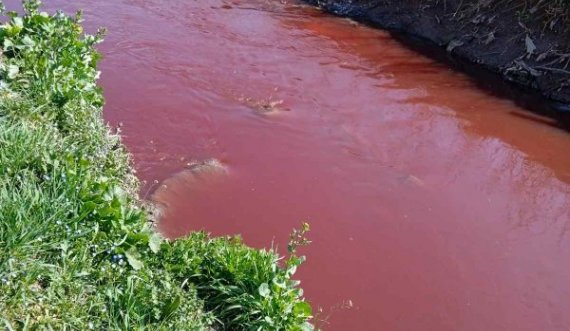 Lumi në fshatin e Gjilanit mbushet me gjak, banori: Nga thertorja po i hudhin mbetjet