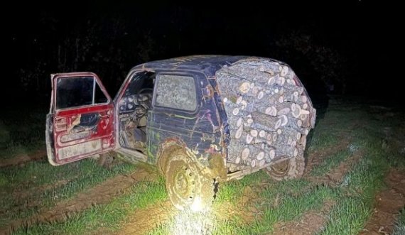 Niva ruse mjet për vjedhje të drunjëve, arresohen dy hajna