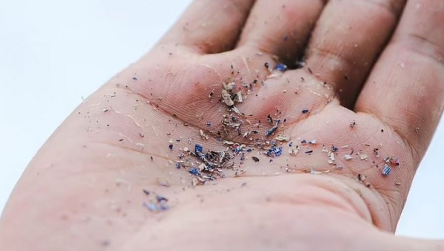 Grimca plastike u gjetën për herë të parë në mushkëritë e njeriut