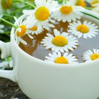 Kamomili njihet për vetitë e tij qetësuese