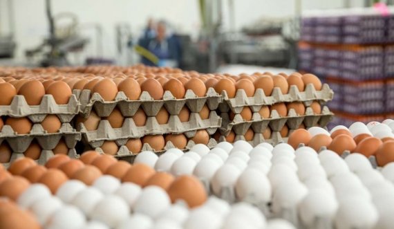 Gripi i shpezëve dhe lufta në Ukrainë rrisin çmimin e vezëve