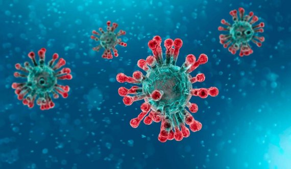 497 raste aktive me koronavirus