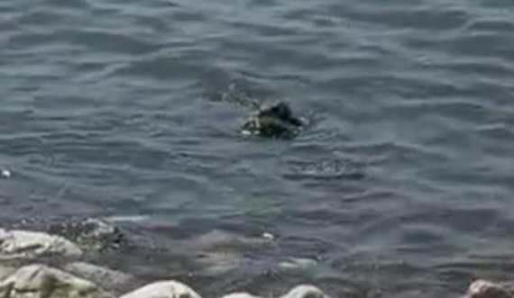 E rëndë/ Gjendet një trup i pajetë në bregdetin e Durrësit