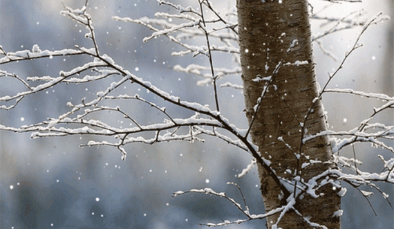 Bora rikthehet në fundjavë, kështu do të jenë temperaturat