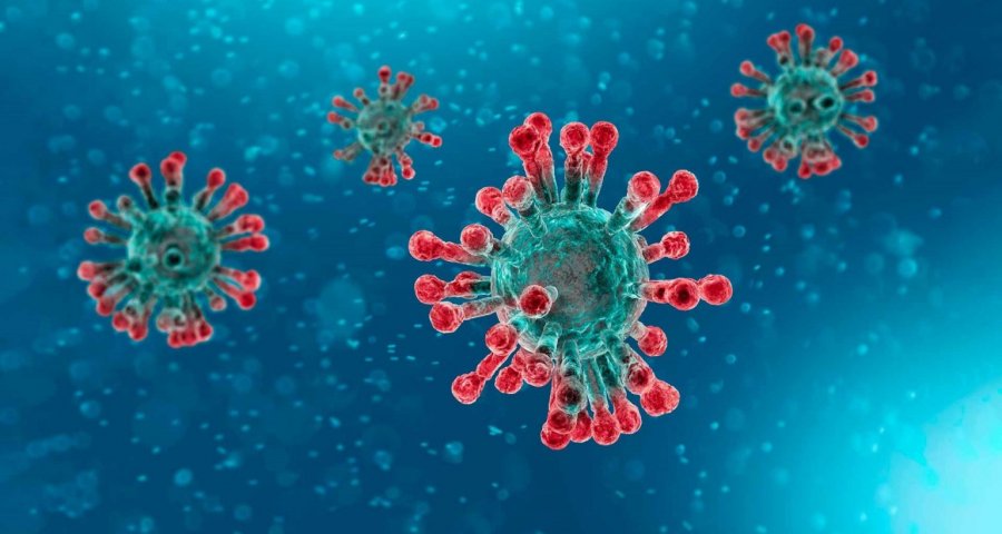 497 raste aktive me koronavirus