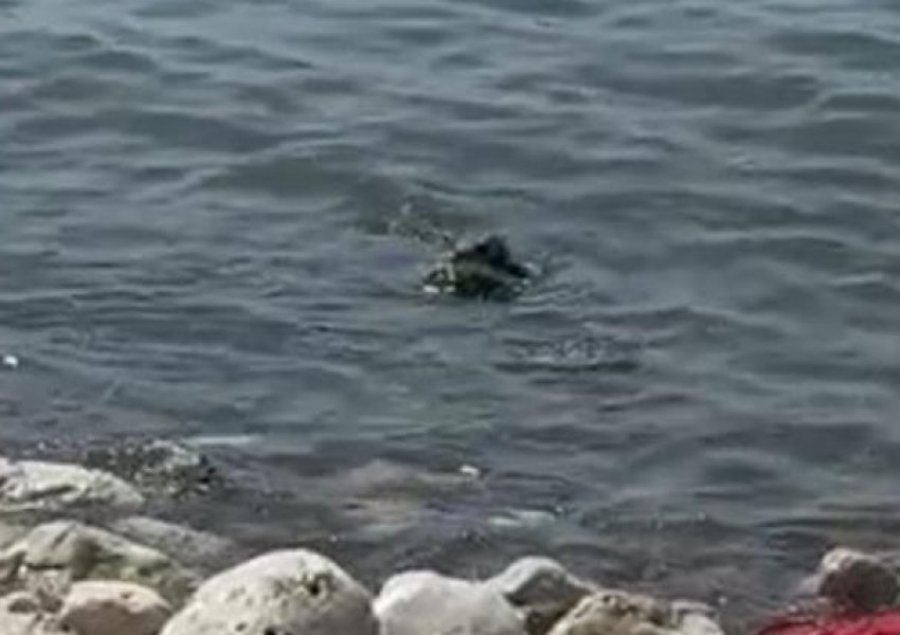 E rëndë/ Gjendet një trup i pajetë në bregdetin e Durrësit
