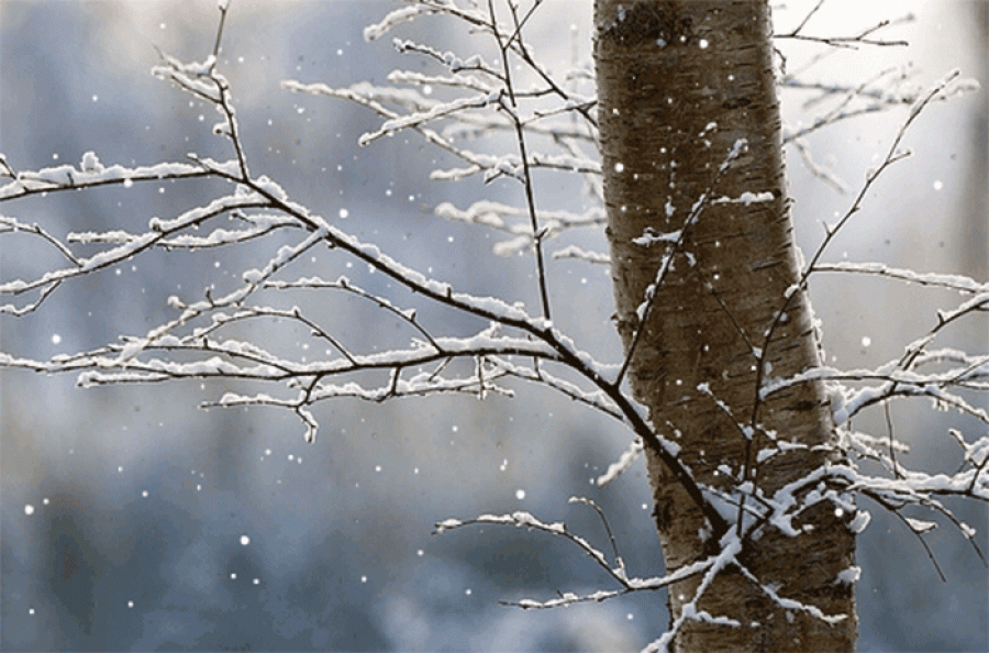 Bora rikthehet në fundjavë, kështu do të jenë temperaturat