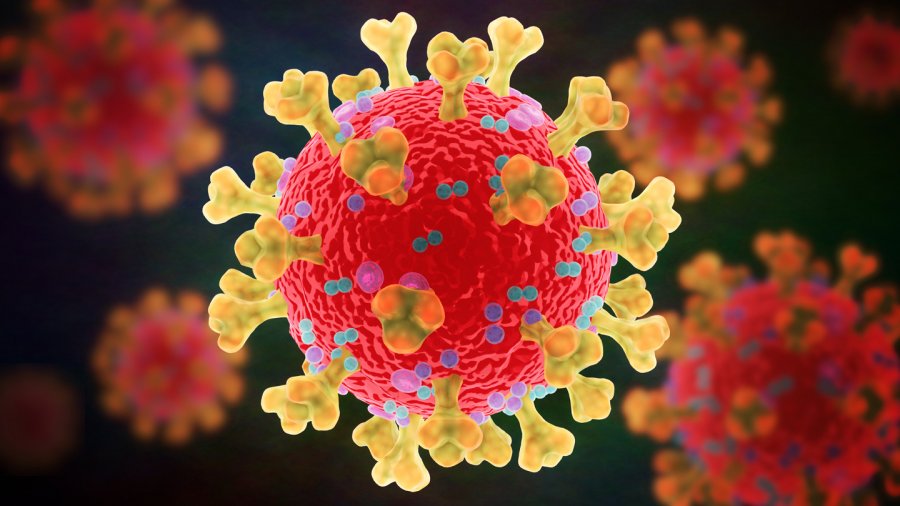 Paralajmërohet varianti i ri i koronavirusit, ministri gjerman: Mund të bëhet po aq vdekjeprurës sa Delta