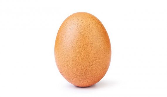  Një vezë në ditë zgjat jetën