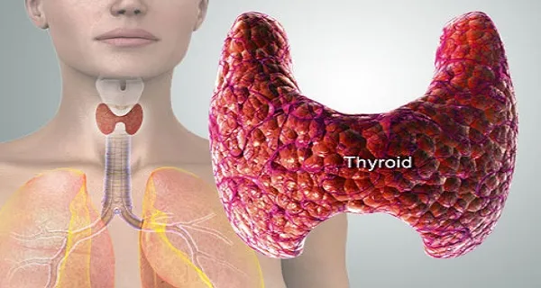 Test! Zbuloni nëse vuani nga tiroidet