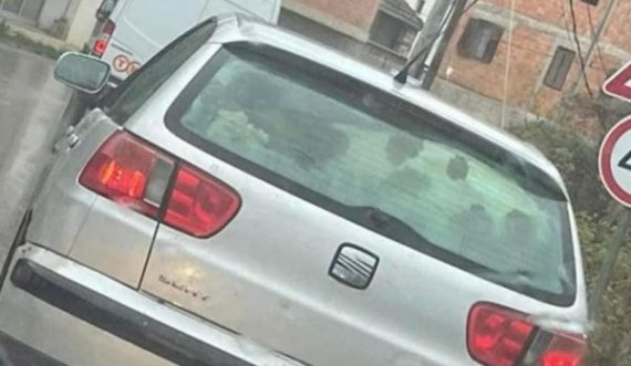 Mot me shi e borë, prizrenasi e trasnporton viçin me makinë