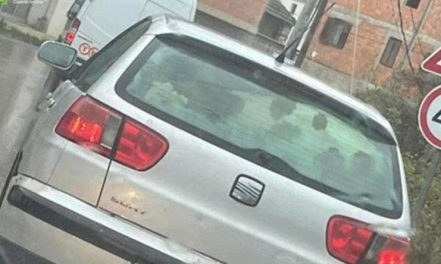 Mot me shi e borë, prizrenasi e trasnporton viçin me makinë