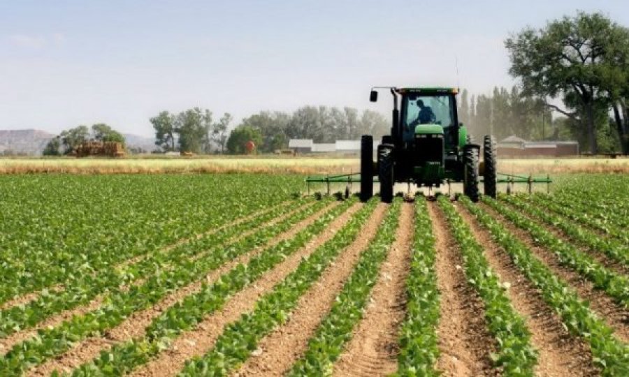 Ministri Faton Peci jep një lajm të keq për bujqit