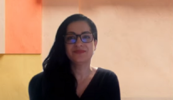 Kandidatja shqiptare për deputete në Slloveni flet për rastin e ambasadorit Berishaj