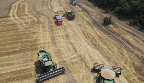 Ukraina akuzon Rusinë për vonesa të qëllimshme në eksportet e grurit
