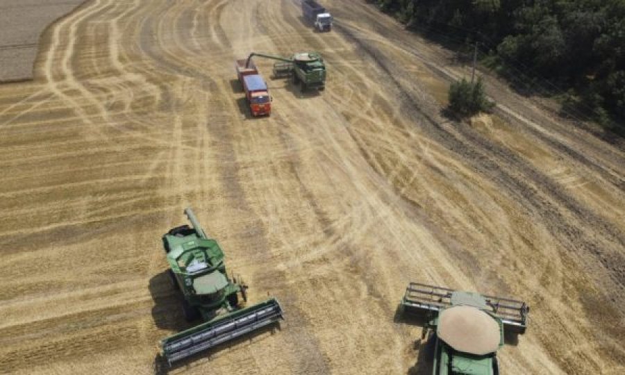 Ukraina akuzon Rusinë për vonesa të qëllimshme në eksportet e grurit