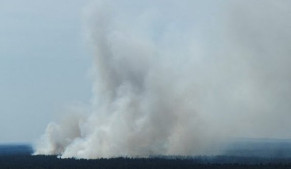 Shpërthimi në depon e armatimit djeg pyllin gjigant pranë Berlinit, evakuohen banorët
