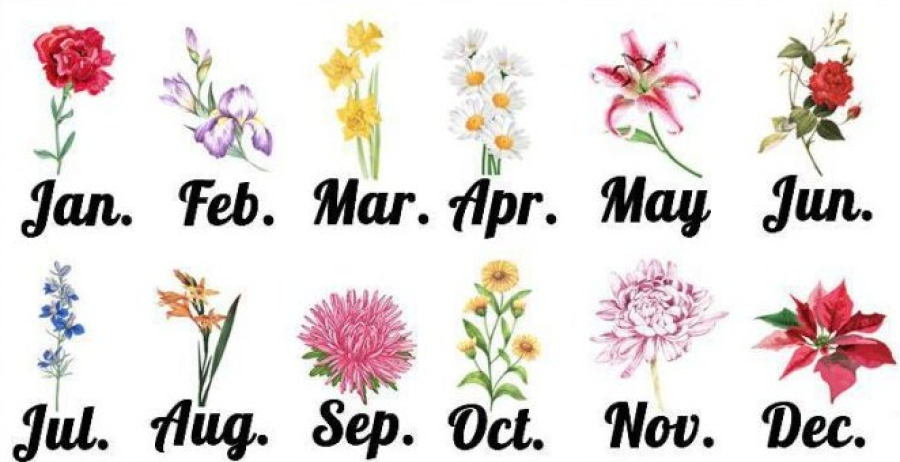 Do të mbeteni të ‘mahnitur’, zgjidh lulen me muajin e lindjes dhe zbuloni mesazhin që fshihet për ju