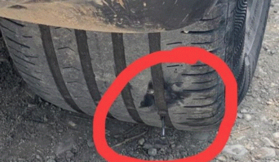 Pasi nuk shkoi te restoranti i tyre në Vlorë, shihni çfarë i bëjnë “bandat” pushuesit
