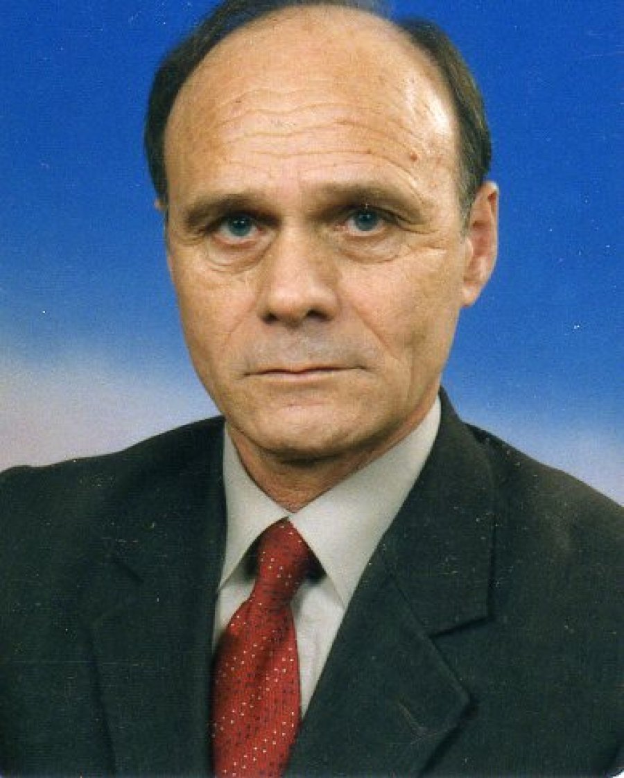 Ah edhe këta qentë e rrugëve tona!