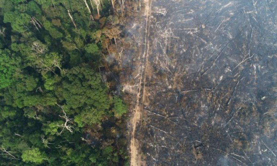 Shpyllëzimi i Amazonës arrin në nivele rekord