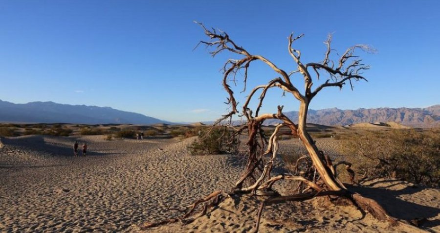 Përmbytet 'Lugina e vdekjes', vendi me temperaturën më të lartë në planet