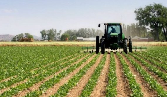 Fillojnë pagesat e përfituesve të subvencioneve në bujqësi