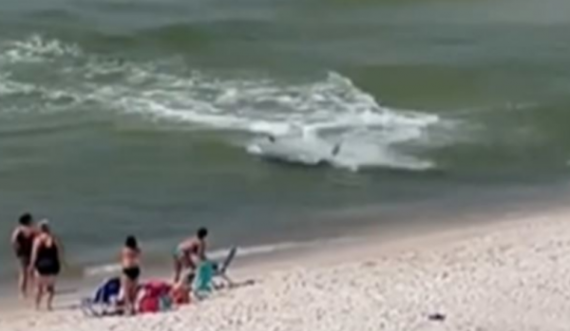Peshkaqeni i afrohet bregut, pushuesit ikin të tmerruar