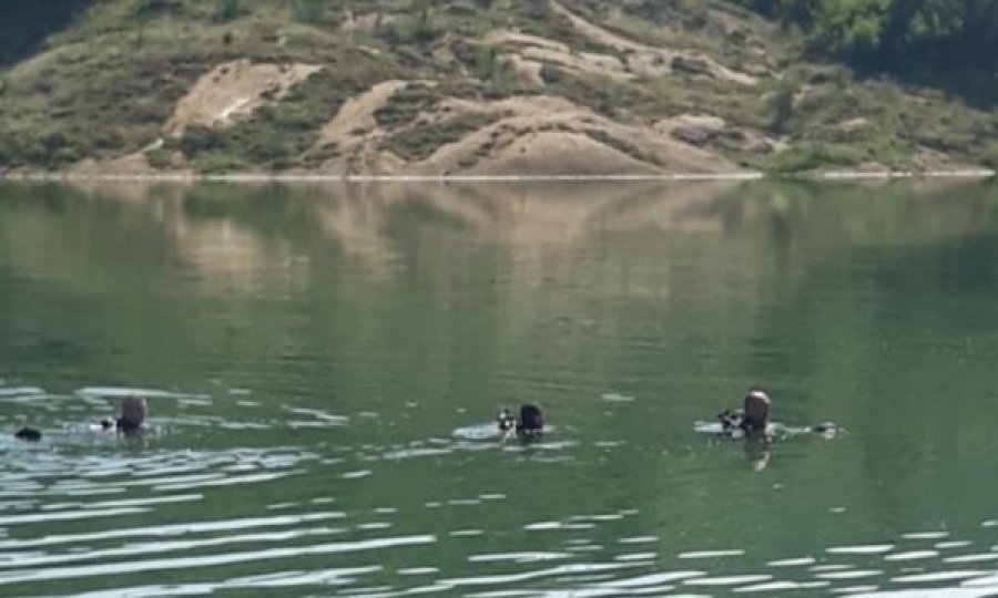 Gjendet një person i mbytur në liqenin e Prespës së Madhe