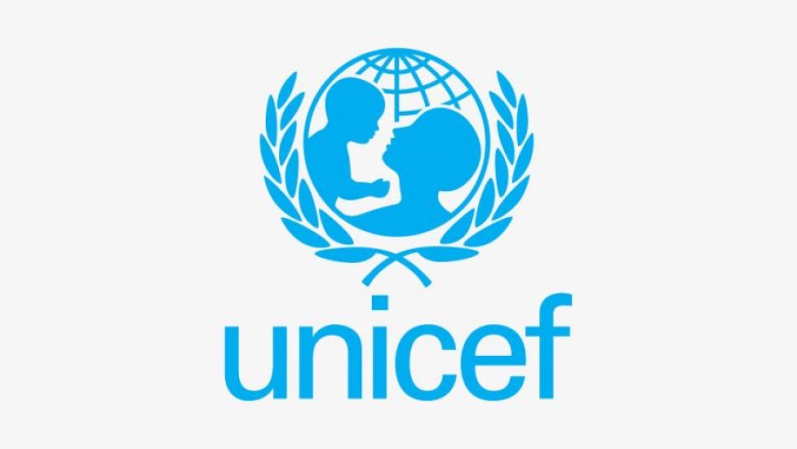 UNICEF-i reagon për rastin e 11-vjeçares: Viktima të merret nën përkujdesje të menjëhershme