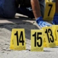 Ekzekutohet me armë zjarri një shqiptar në SHBA