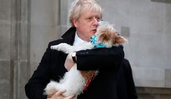 Boris Johnson i bindur që qenin e tij Dilyn e kapi Covid!