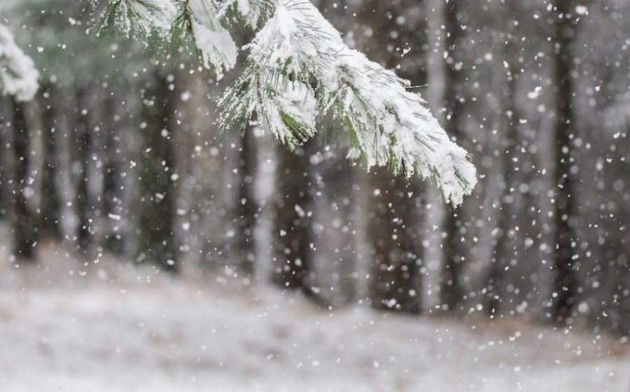 Sot do të ketë rreshje borë në Kosovë