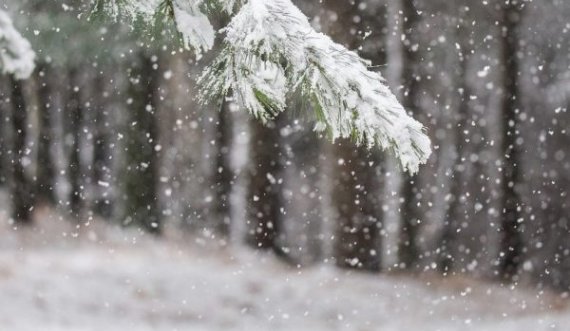 Reshje bore e mot i ftohtë, këto janë temperaturat