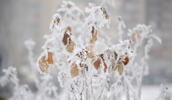 Reshje shiu dhe bore, këto janë temperaturat sot