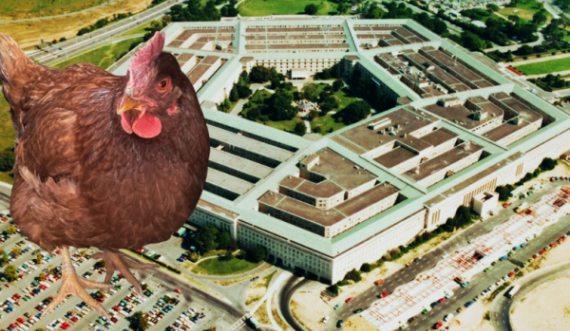 Pula mundohet të hyjë në Pentagon, kapet