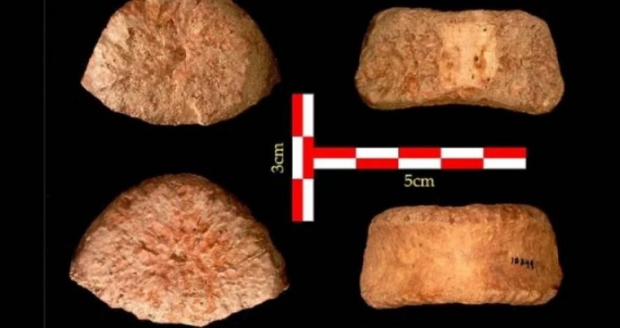 Zbulohen eshtra të fëmijës, supozohet se janë të vjetër mbi 1.5 milion vjet