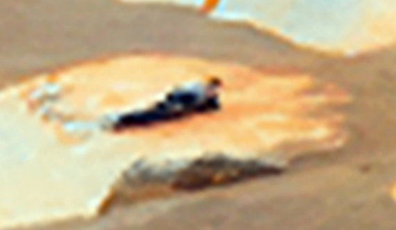 Një njeri fotografohet duke pushuar mbi një shkëmb në Mars?
