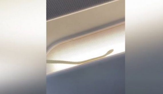 Aeroplani bën ulje emergjente, brenda u pa një gjarpër